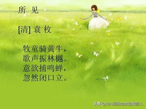 《童趣诗集》· 所见